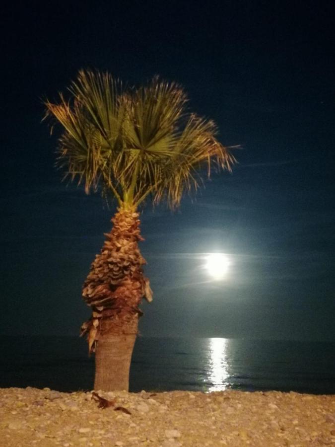 Appartement Marinador Josmar à Oropesa del Mar Extérieur photo